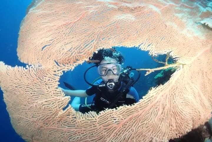 People, Natural landscape, Activities, Animals, group of guests