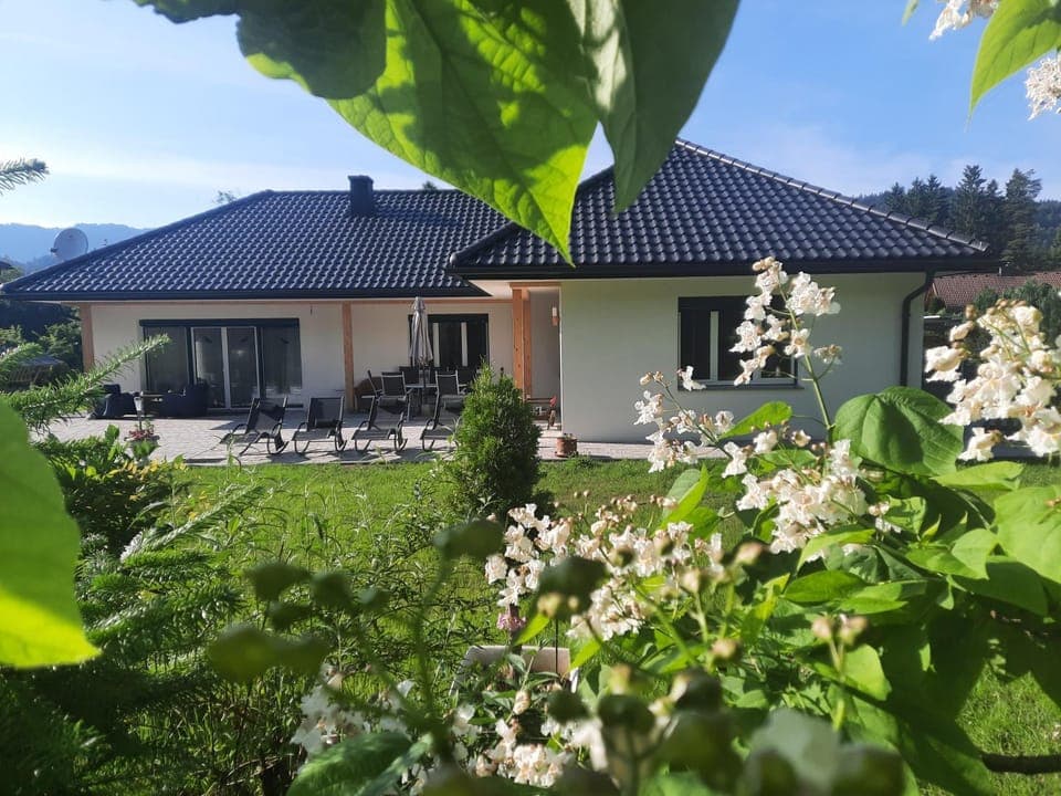 Property building, Spring, Day, Garden