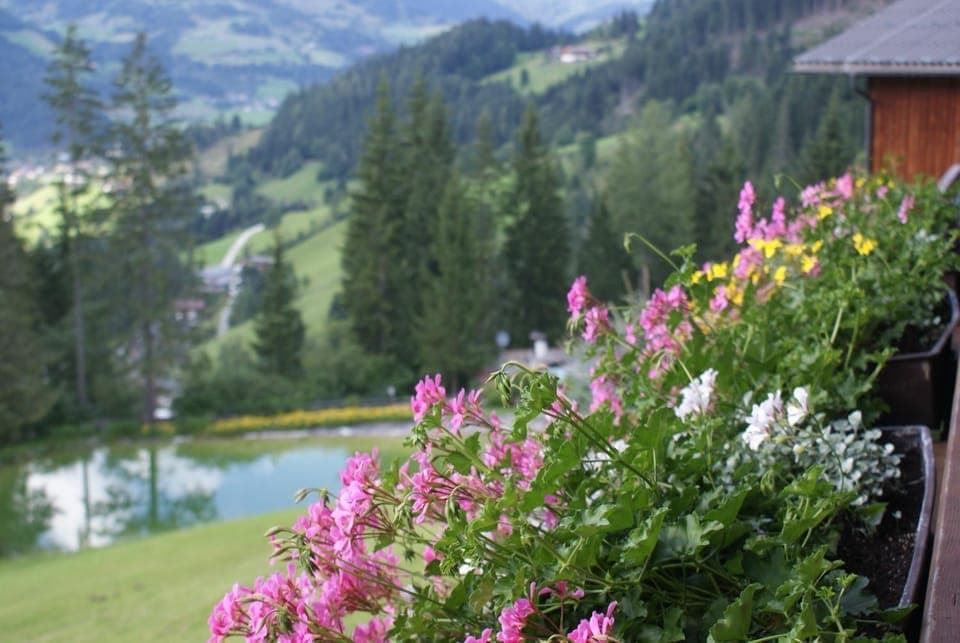 View (from property/room)