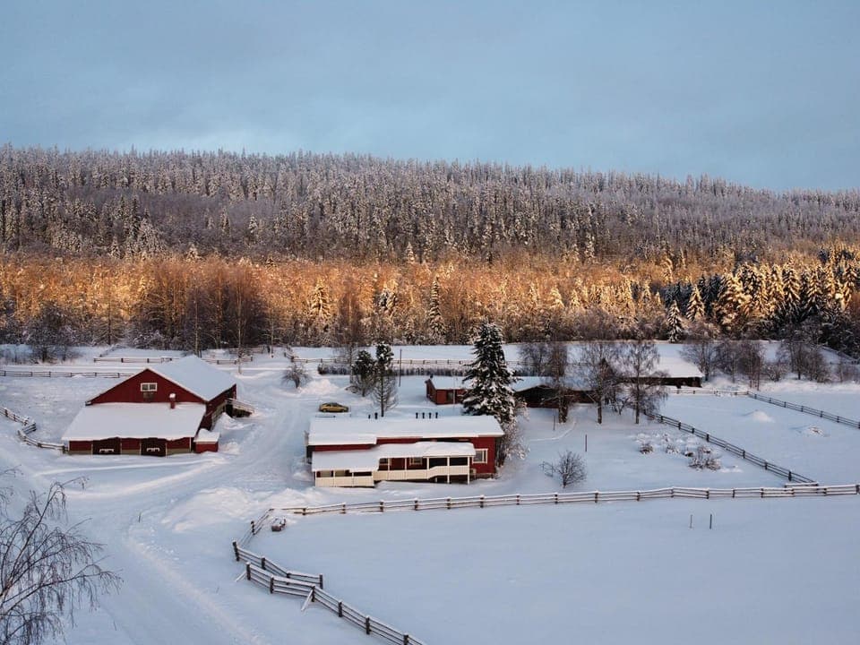 Property building, Winter