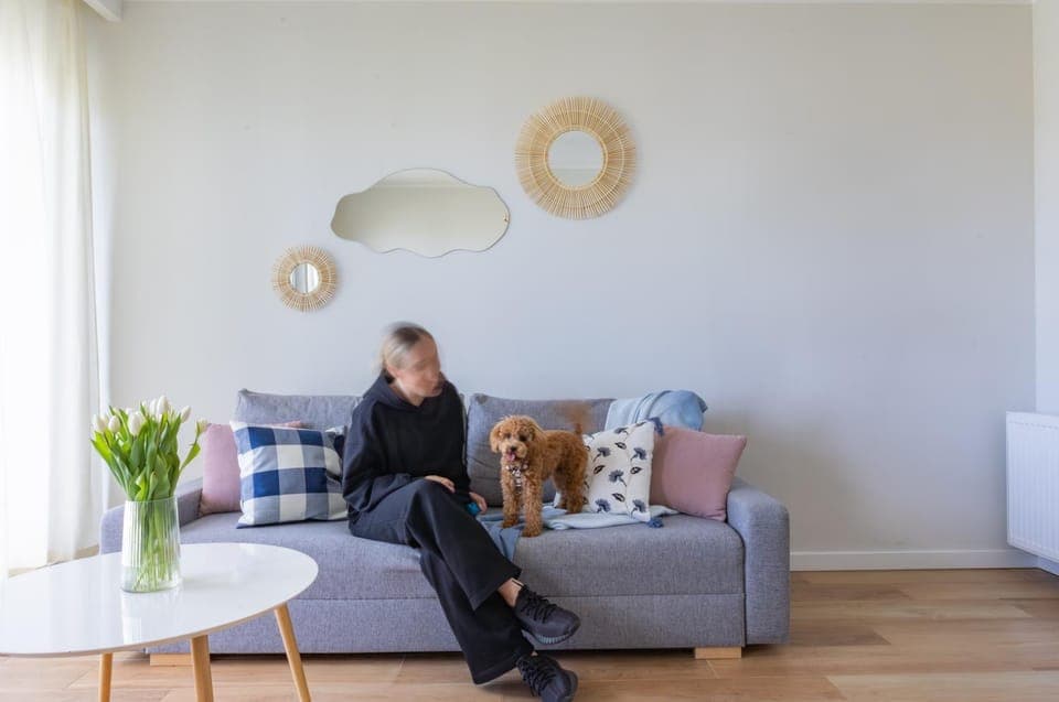 People, Seating area, Pets, group of guests