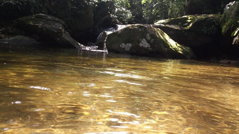 Natural landscape, River view