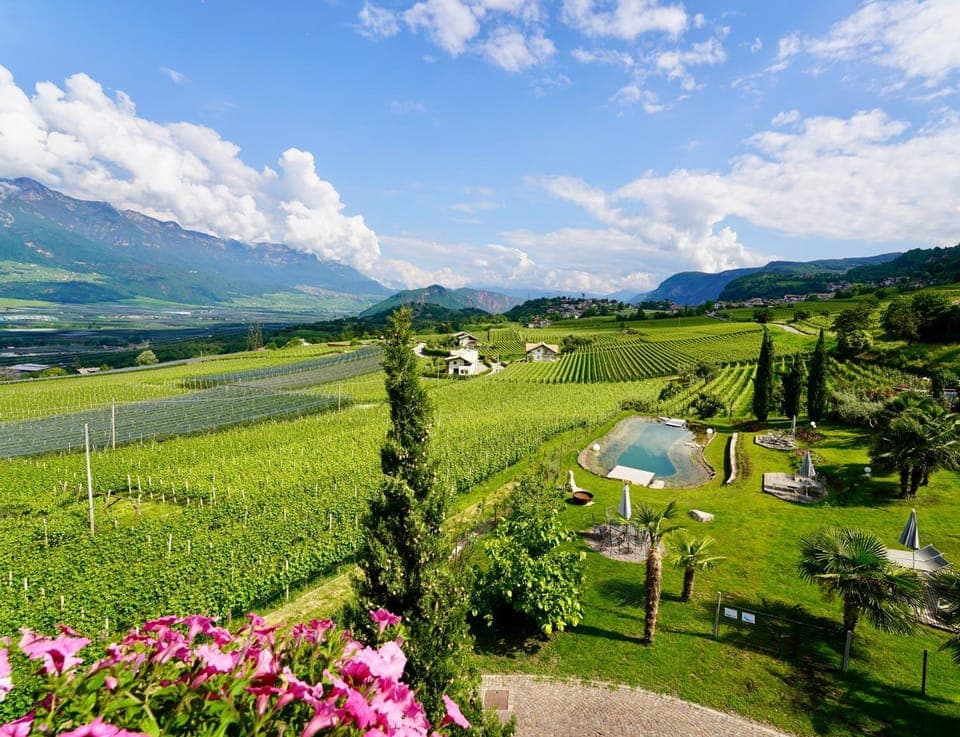 View (from property/room)