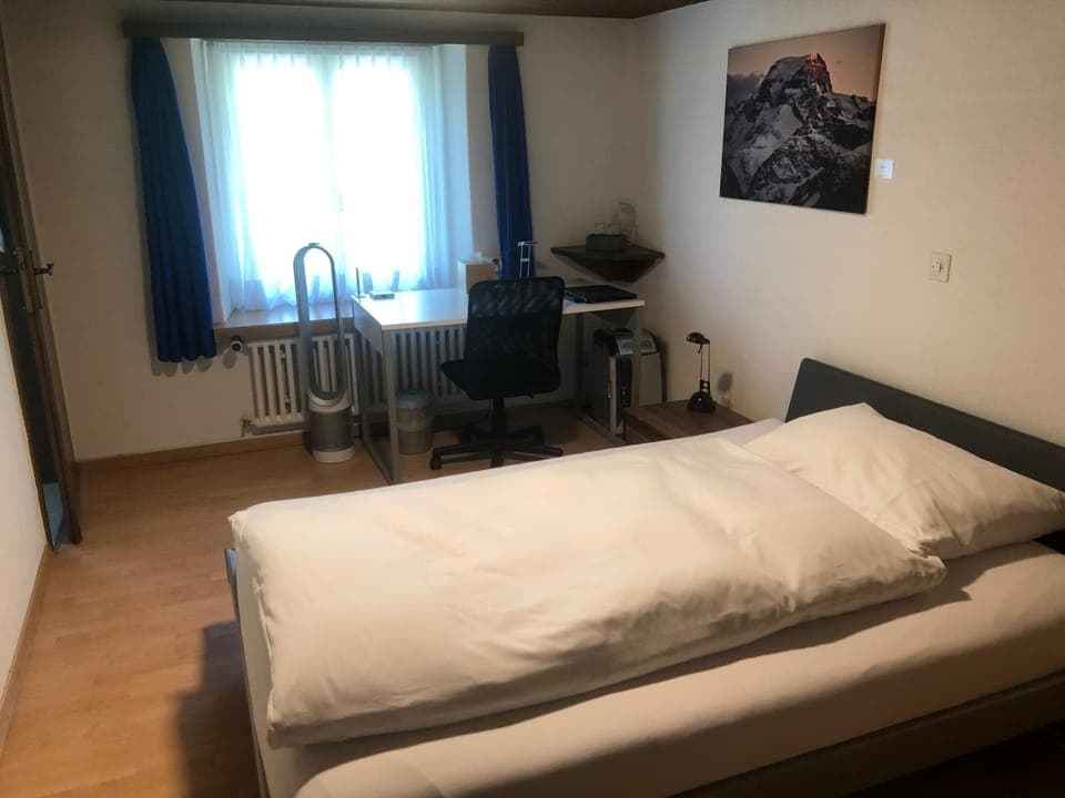 Photo of the whole room