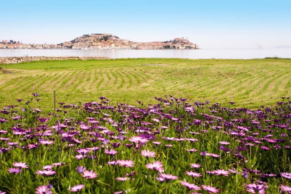 Natural landscape, On site, City view, Landmark view, Sea view