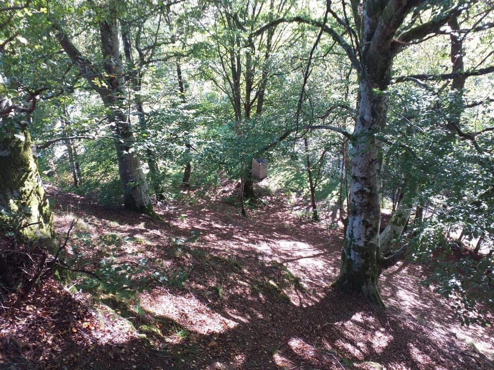 Children play ground, Garden