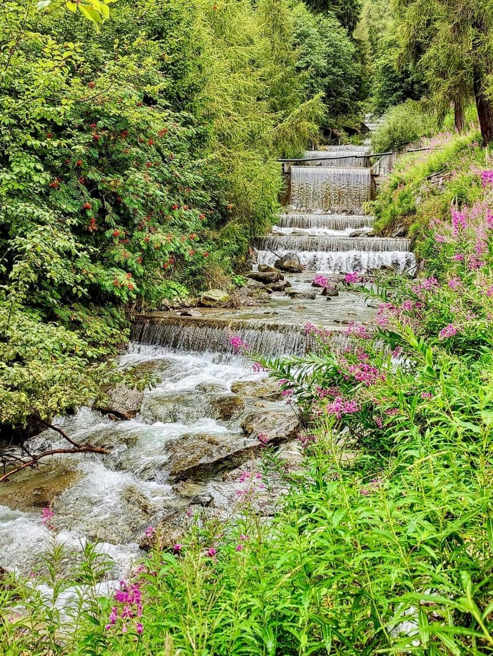 Natural landscape, River view