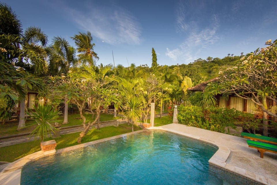 Garden, Swimming pool