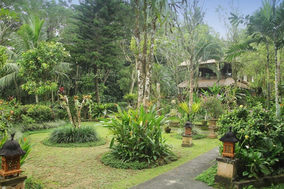 Garden view