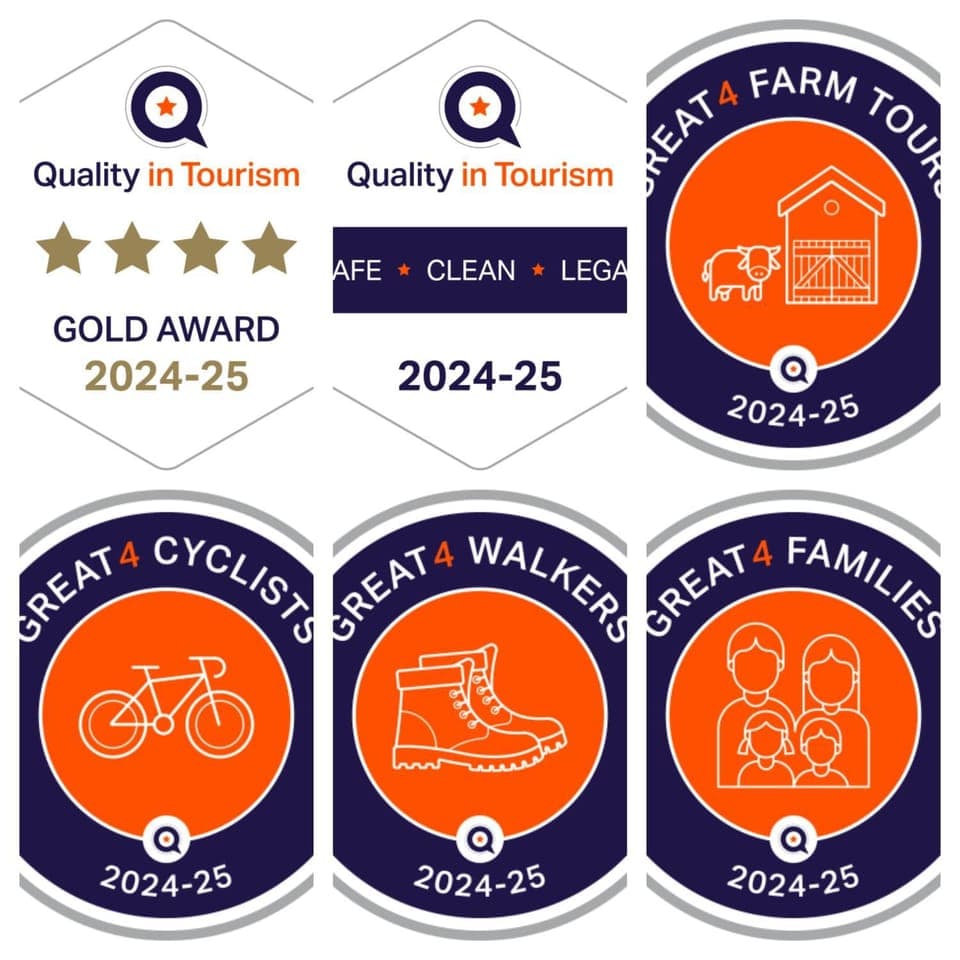 Logo/Certificate/Sign