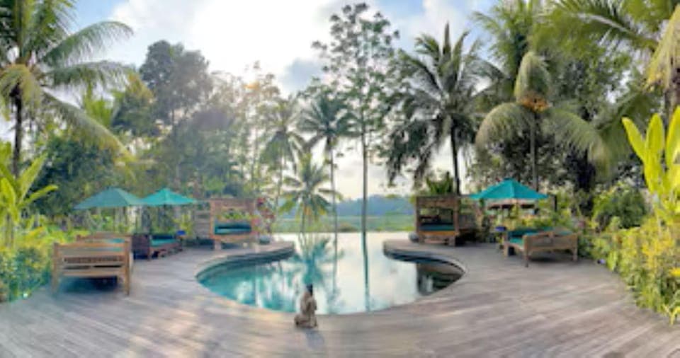 Spring, Day, Natural landscape, Garden, Garden view, Pool view, Swimming pool, sunbed