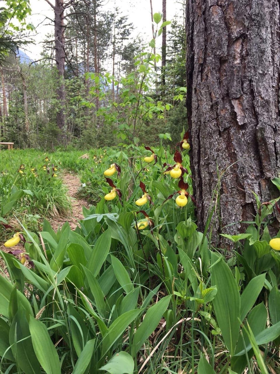Nearby landmark, Spring