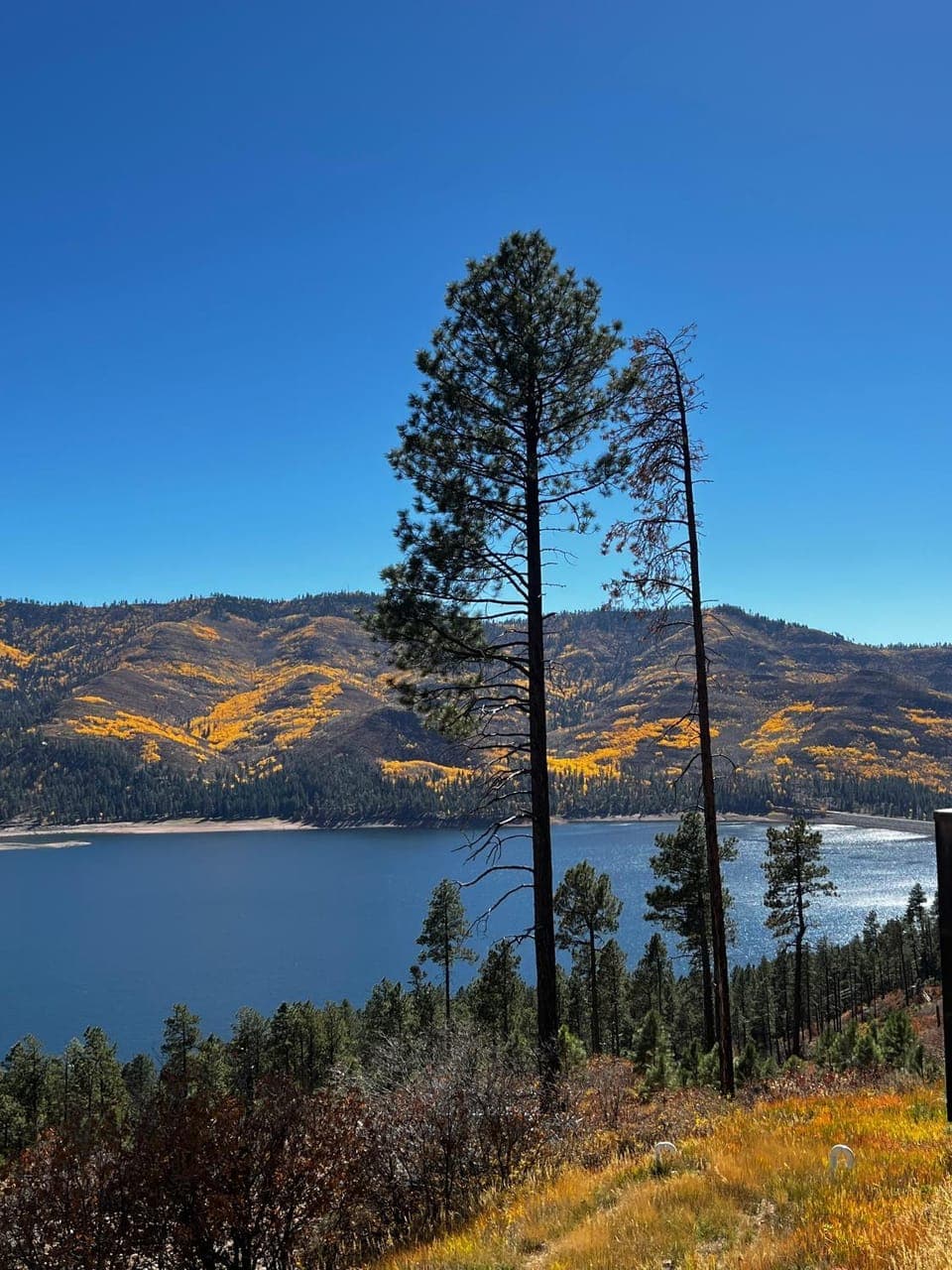 Lake view