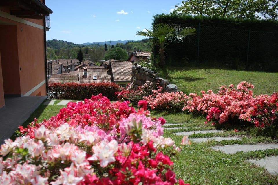Spring, Natural landscape, Garden, Garden view, Mountain view