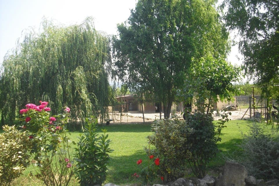 Natural landscape, Garden