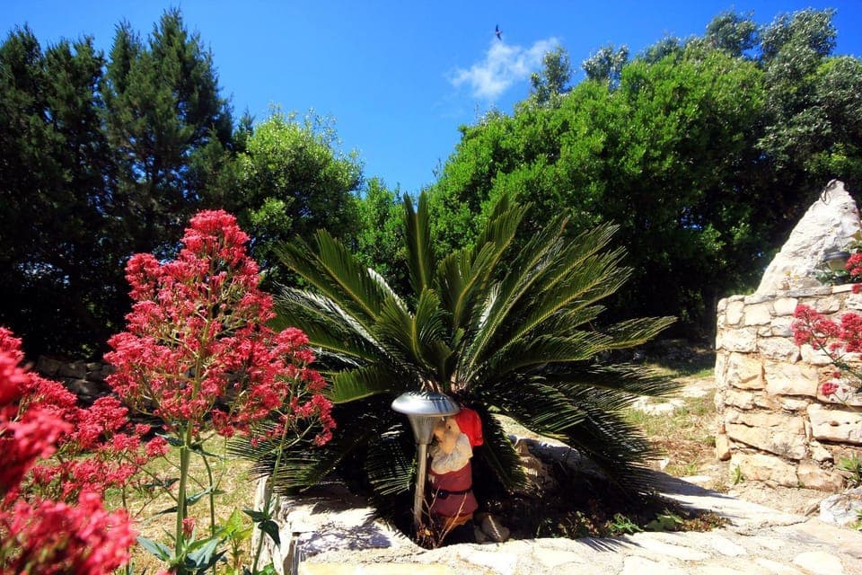 Location, children, Family