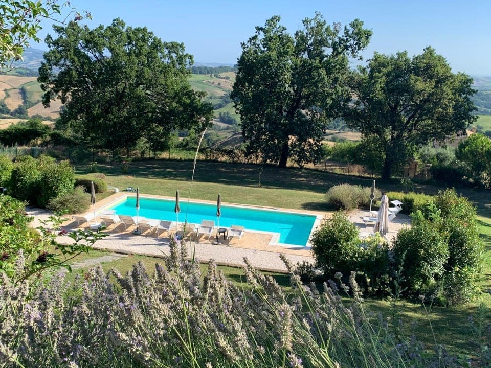 Natural landscape, Garden, Garden view, Pool view, Swimming pool, sunbed