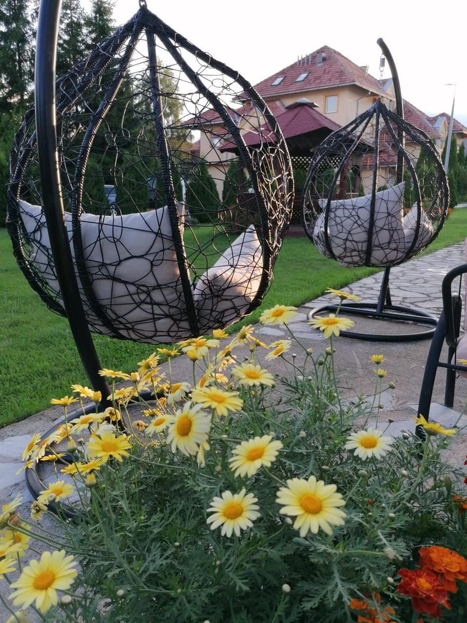 Patio, Garden, Garden