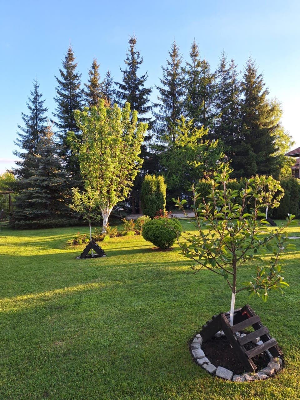 Spring, Natural landscape, Garden, Garden view