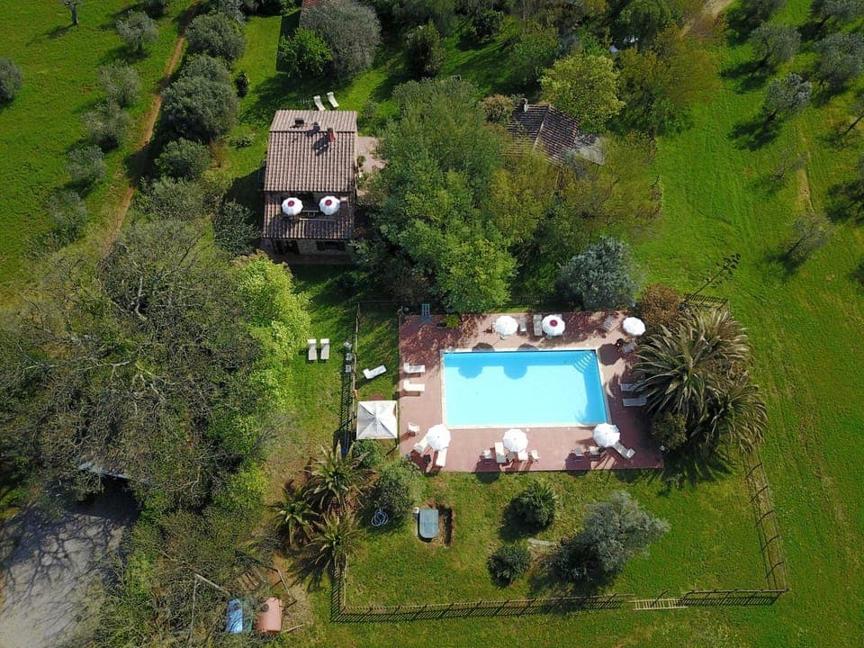 Bird's eye view, Garden, Swimming pool, Swimming pool