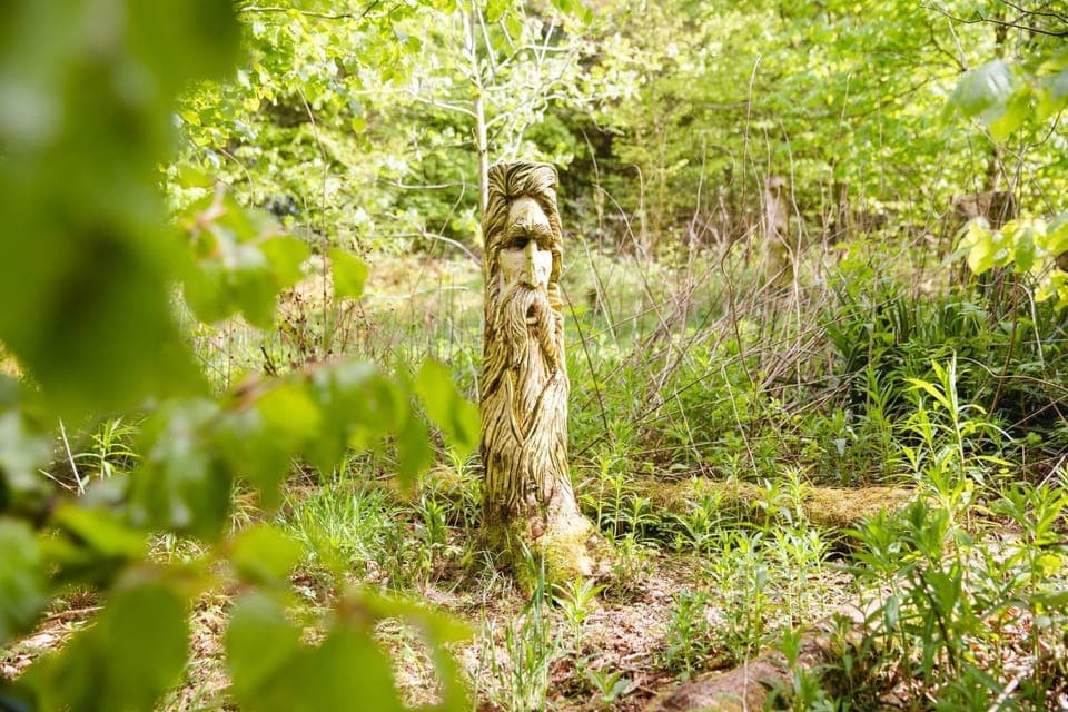 Natural landscape, Garden