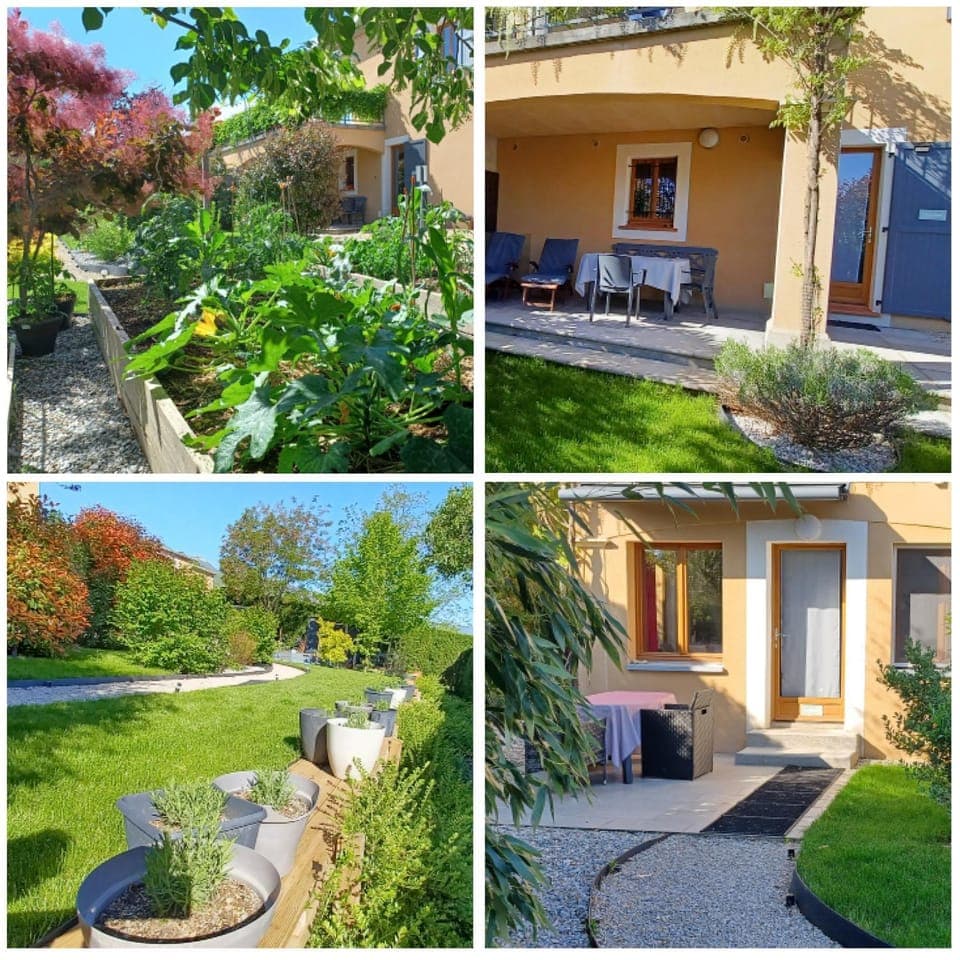 Property building, Garden view