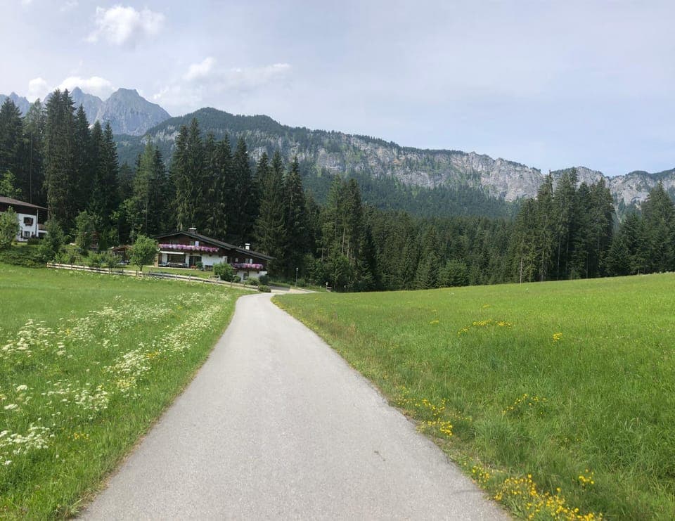 Natural landscape, Garden