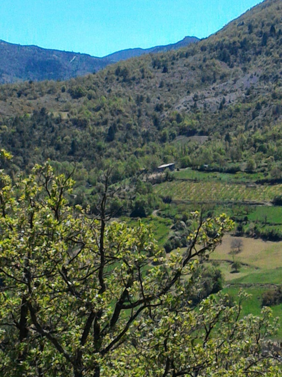 Natural landscape, View (from property/room), Mountain view