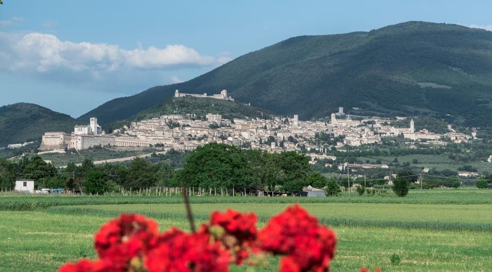 City view, Garden view, Landmark view