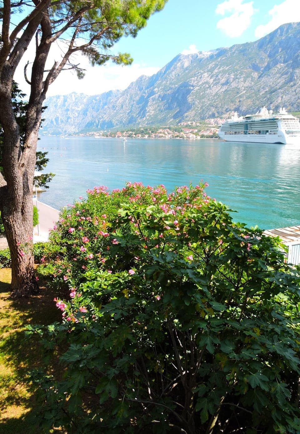 Garden view, Mountain view, Sea view