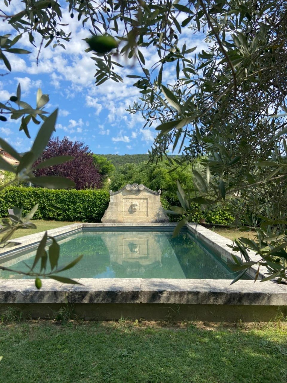 Garden, Swimming pool