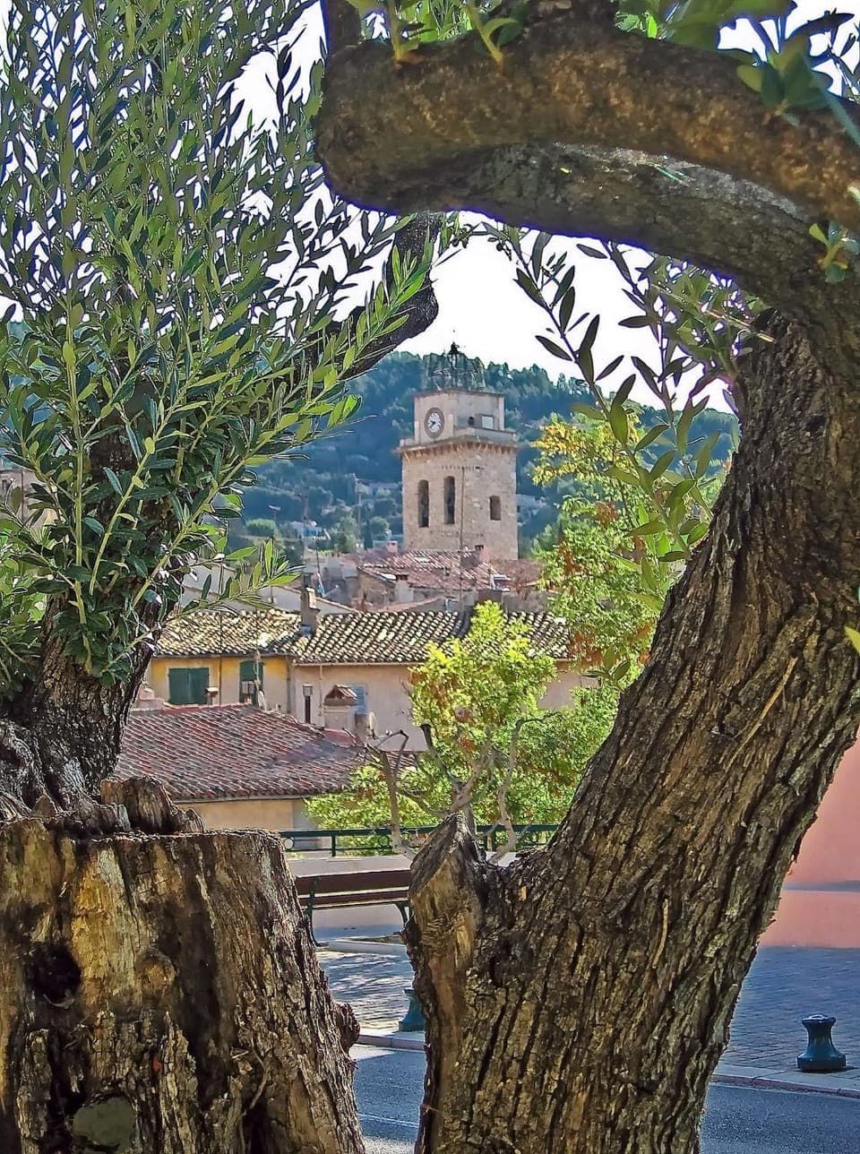 Nearby landmark, Neighbourhood