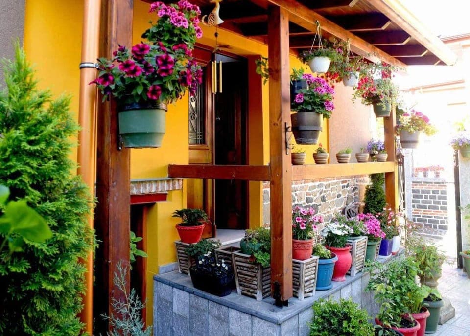 Garden, Garden view, Garden view