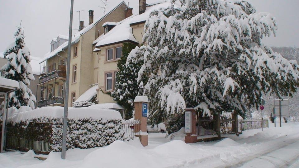 Property building, Winter
