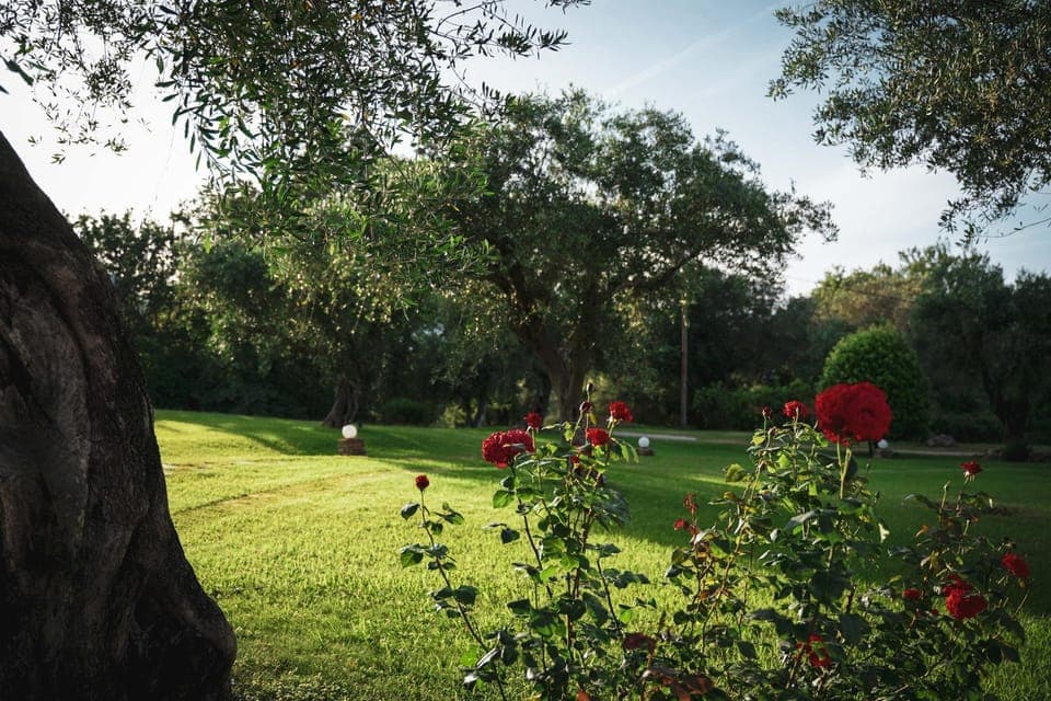 Spring, Natural landscape, Garden, Garden view