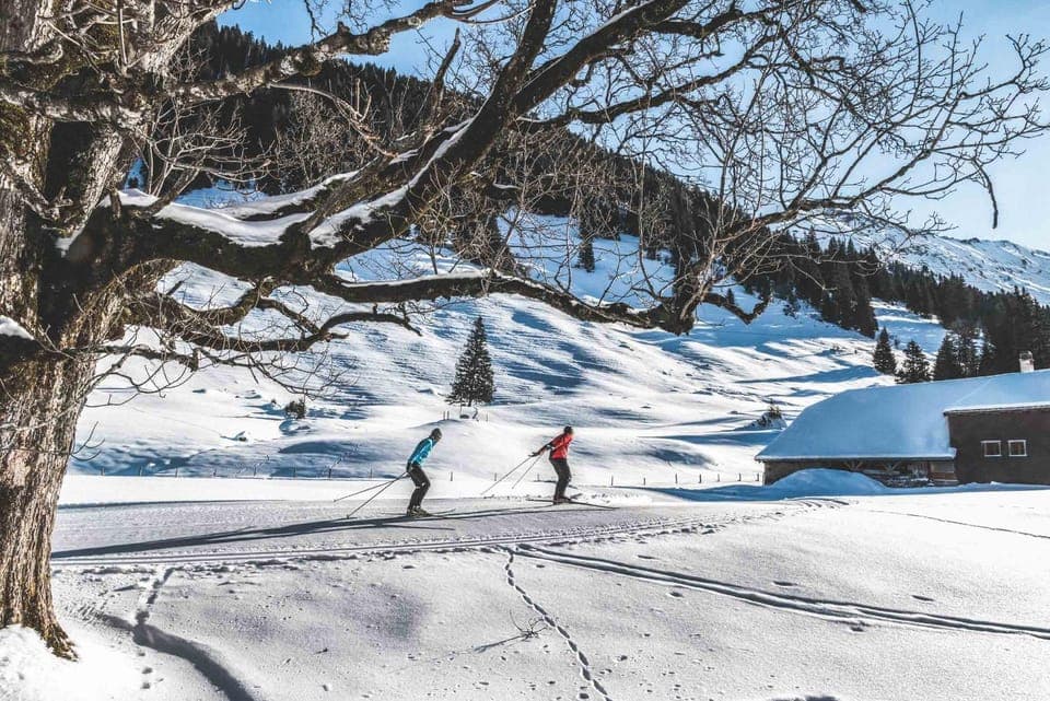 Natural landscape, Winter, Skiing
