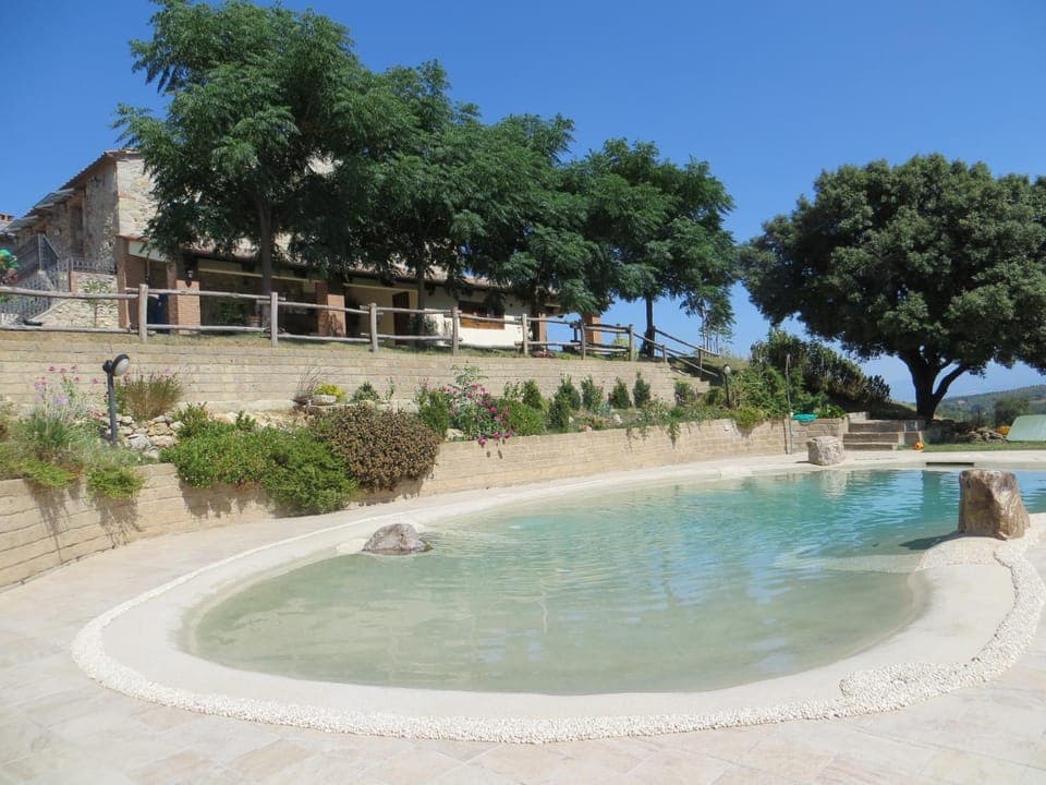 Swimming pool, Swimming pool