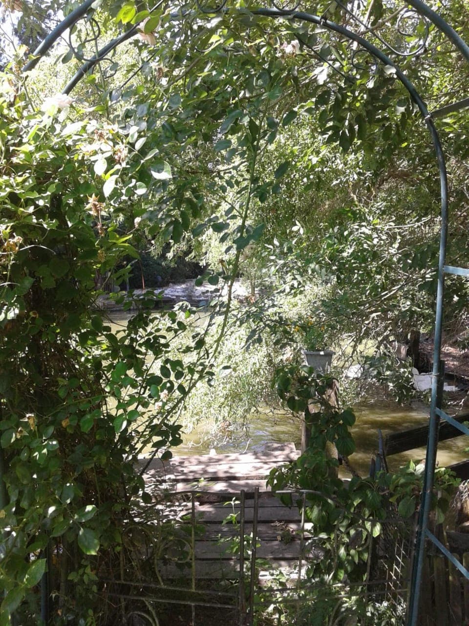 Summer, Garden, Garden, On site, Lake view, Lake view