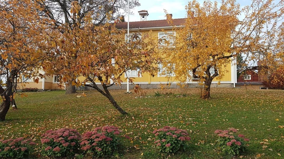Property building, Garden