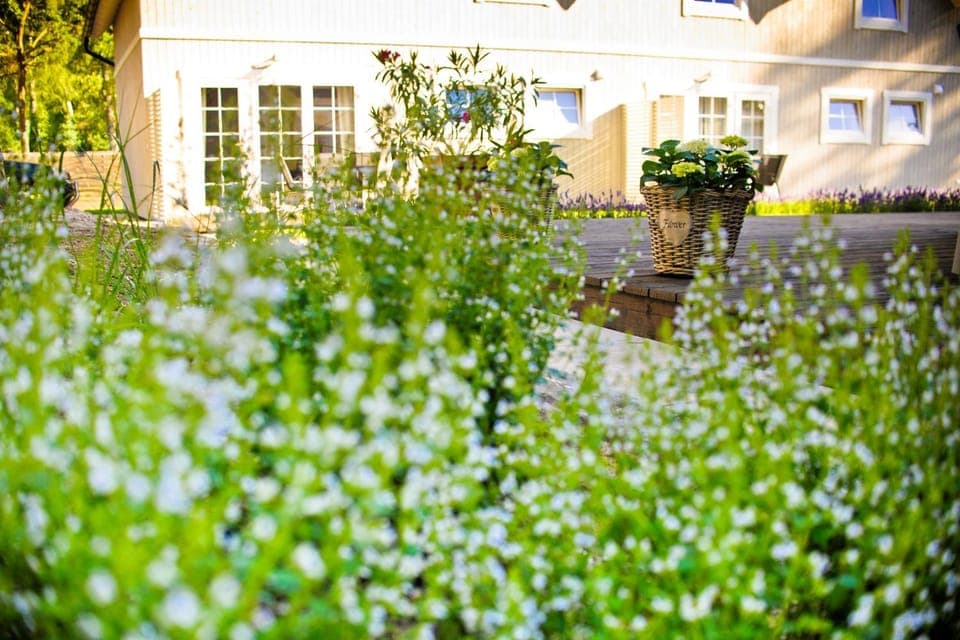 Spring, Day, Natural landscape, Garden, Garden view