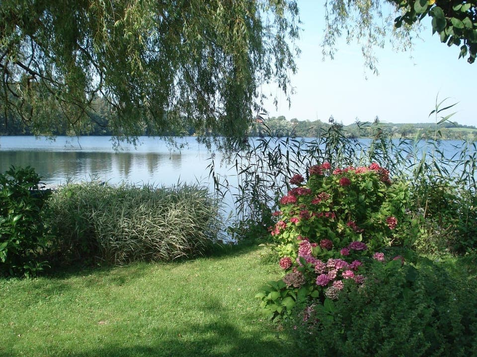 Garden, Lake view