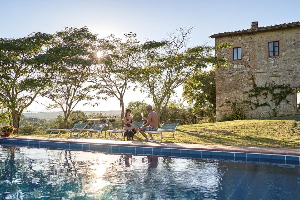 Pets, Swimming pool, Swimming pool