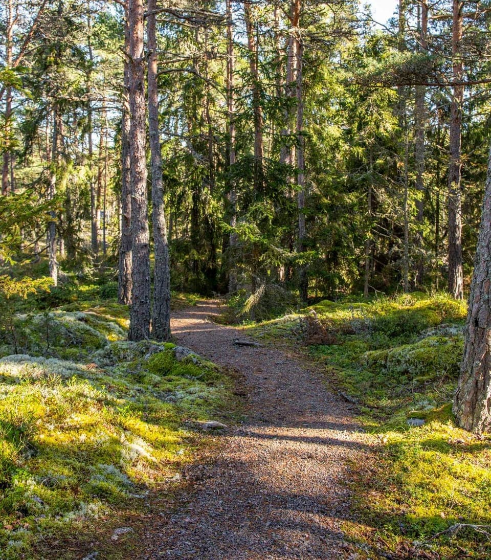 Cafe Alppila Campground/ 
RV Resort in Finland