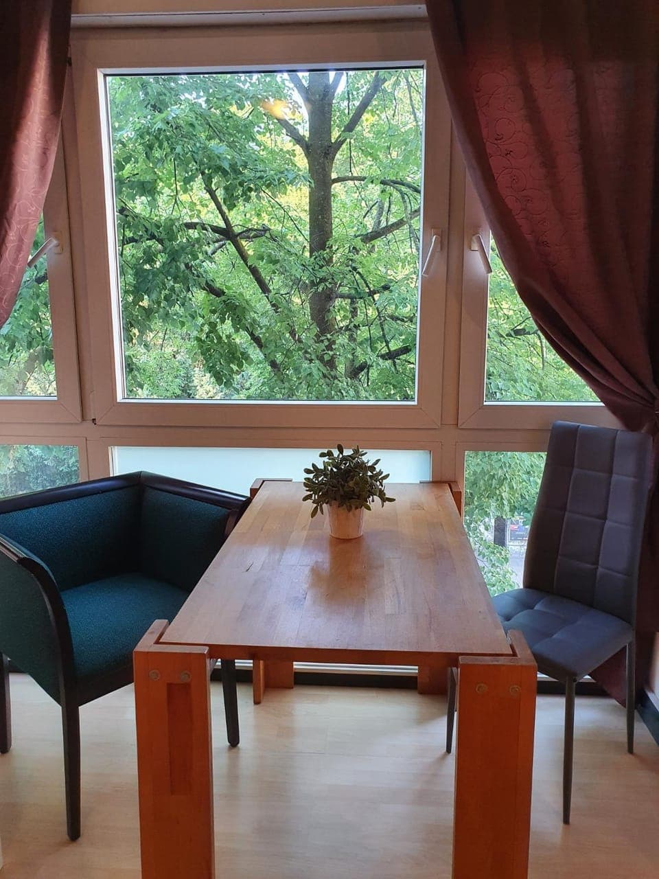 View (from property/room), Food, Garden view