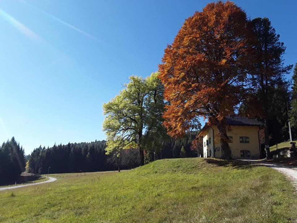 Property building, Day, Natural landscape