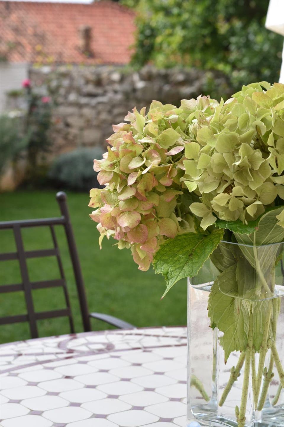 Patio, Garden, Balcony/Terrace