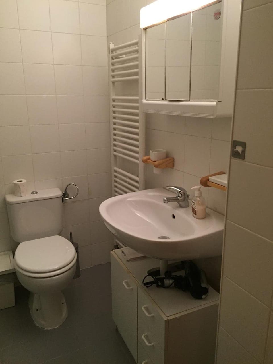 Shower, Toilet, Bathroom, bidet