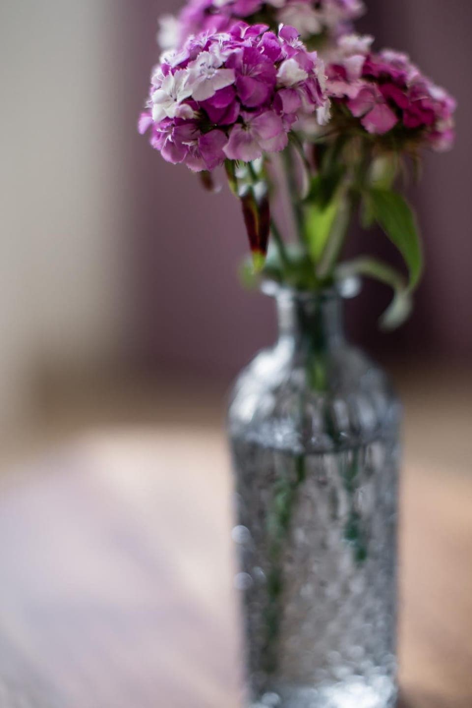 Decorative detail, Decorative detail