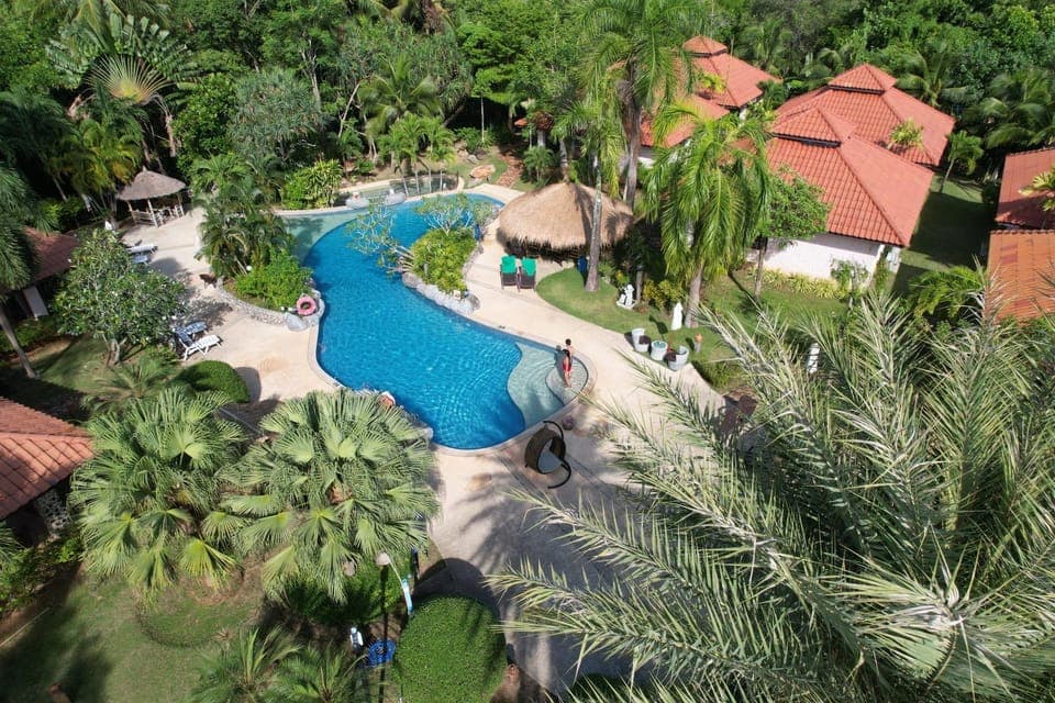 Natural landscape, Bird's eye view, Garden view, Swimming pool