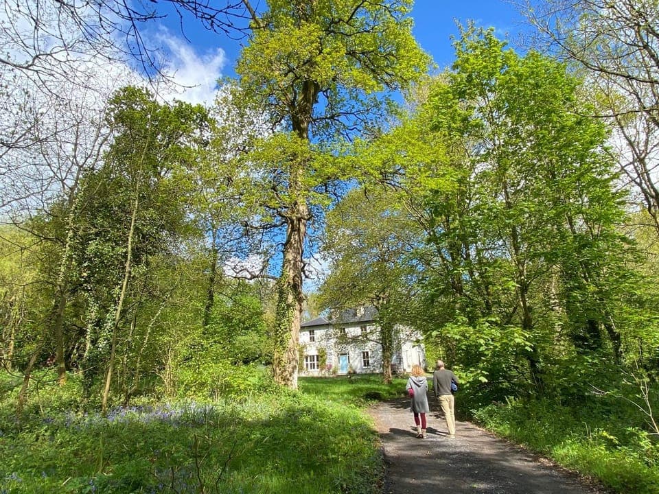 Facade/entrance, Garden, Garden view